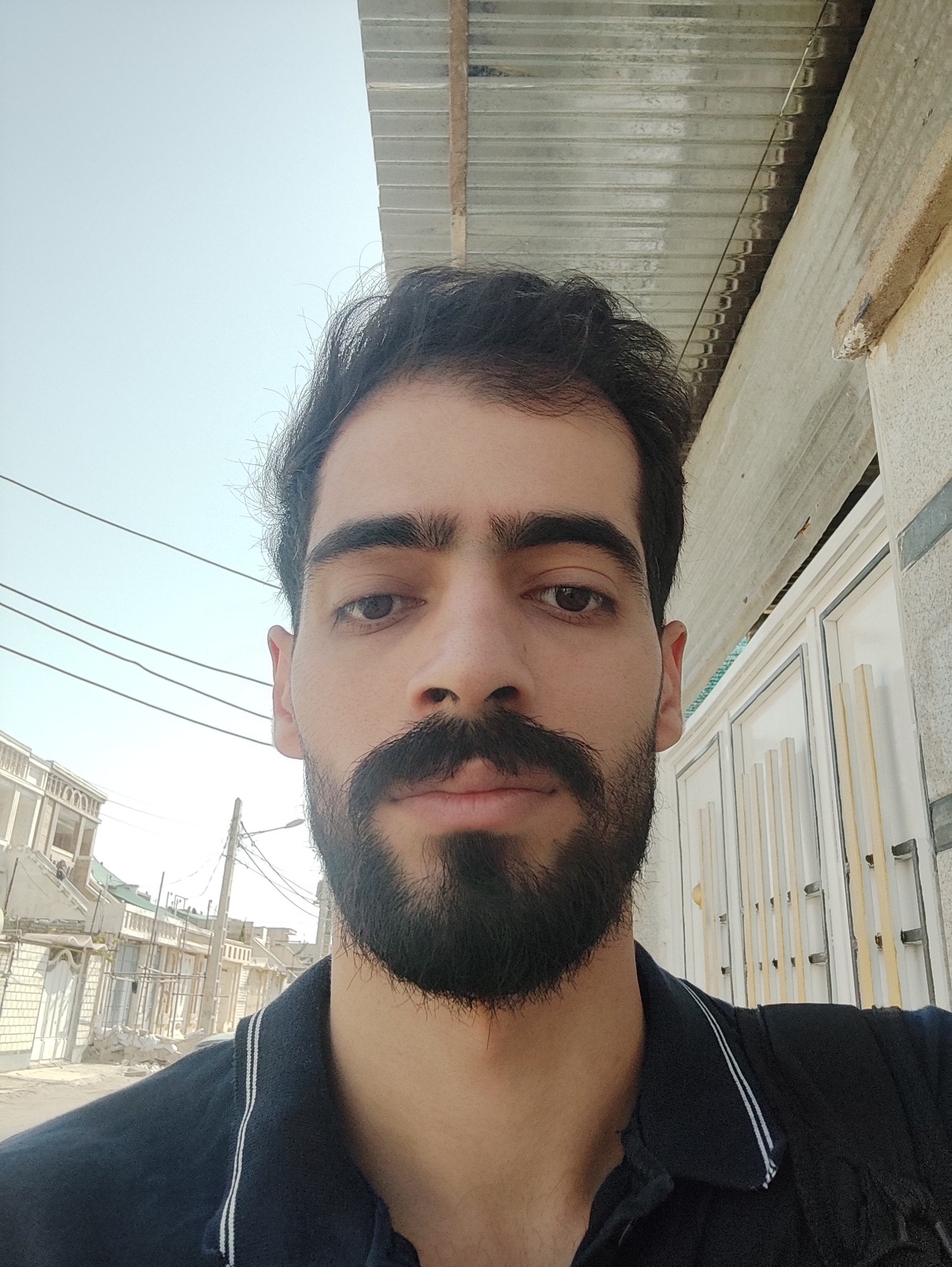 اعضا و مشاوران حقیقی -
